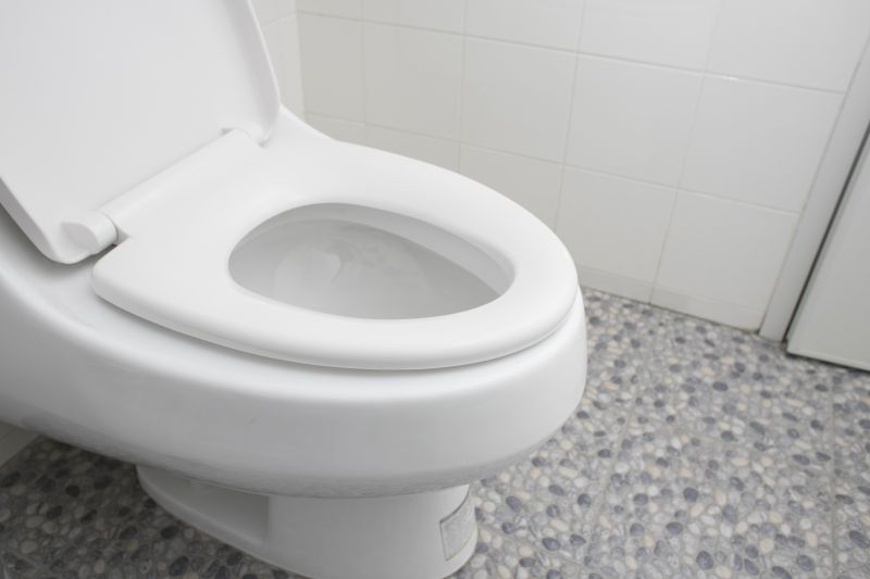 Bathroom Renovation in Lutz, FL